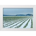 thumbnail image 3 of Dana Styber 32x23 White Modern Wood Framed Wall Art Titled - Snowy Daffodils II, 3 of 5