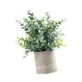 thumbnail image 5 of CoudarTitie Artificial Small Potted Plants Faux Plant in Pot 6x9.4inch Small Fake Plants for Eucalyptus, 5 of 9