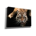 thumbnail image 2 of Epic Graffiti 'Nice Kitty' by Epic Portfolio Giclee Canvas Wall Art, 26"x18", 2 of 2