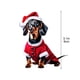 thumbnail image 5 of Adorno Plano de Perro Salchicha, Adorno Navideño Original, Ligero y Fácil de Colgar, Materiales Duraderos, Decoración Festiva para El Hogar, Regalo para Amantes de Los Perros, Diseño Navideño Único., 5 of 7
