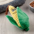 thumbnail image 2 of Vibrant Life Cozy Buddy Veggie Dog Toy, Character May Vary, Chew Level 1, 2 of 9