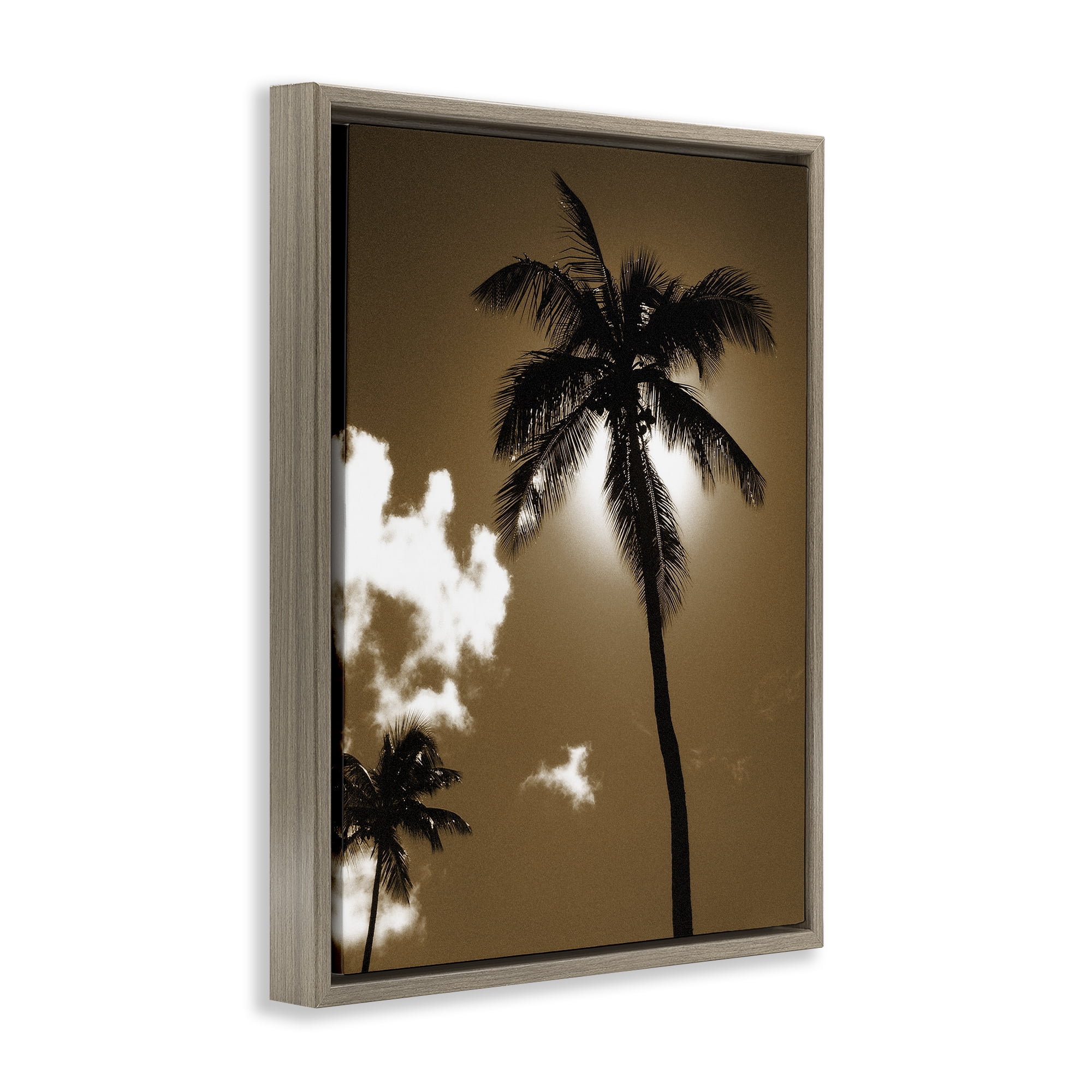 Stupell Industries Sunlight Through Palms Landscape Photography Brown Floater Framed Canvas Art Print Wall Art, 25 x 31