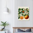 thumbnail image 4 of COMIO Fruit Kitchen Decor, Fruit Art Prints and Vintage Botanical Fruit Wall Art for the Kitchen and Home Decorations, 4 of 5