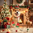 thumbnail image 4 of Pet Supplies Socks For Cats And Dogs Holiday With Greeting Card, 4 of 4