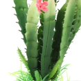 thumbnail image 4 of Simulation Plastic Cactus Plant Terrarium Reptiles Habitats Decoration Home Decor, 4 of 4