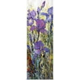 thumbnail image 1 of Great BIG Canvas | Rolled Tim O'Toole Poster Print entitled Iris Field I, 1 of 4