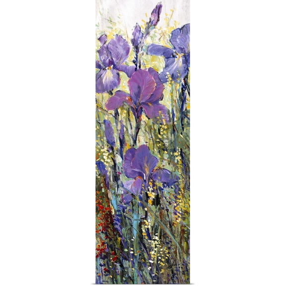 Great BIG Canvas | Rolled Tim O'Toole Poster Print entitled Iris Field I