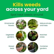 Sunday Weed Warrior Non-Selective Herbicide Spot Treatment, 32 oz. Spray Bottle