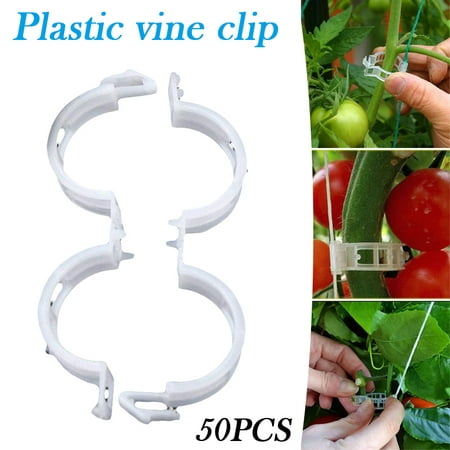 

Plant Support Clips Garden Trellis Durable Vegetable Supports Clips Makes Crop to Grow Upright and Healthier For Plants New