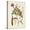 Canvas, variant on Art.com Vintage Flowering Trees V Art Print by 0 Unknown, 12" x 16"