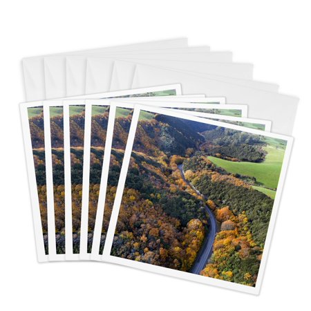 3drose, Autumn Color, Manuka Gorge, Otago, South Island, New Zealand, 6 Greeting Cards with Envelopes