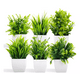 thumbnail image 1 of Plantas Artificiales Macetas Decorativas Bonsai Hogar 6 pzs, 1 of 5