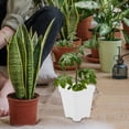 thumbnail image 4 of MasteelfCA 20pcs Succulent Plant Flower Pot Plastic Nursery Pots Flower Plant Starter Pots, 4 of 9