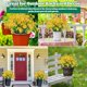 thumbnail image 5 of XmhyTop 12 piezas de flores artificiales, plantas artificiales para jardín, hogar, boda, granja (blanco), 5 of 5