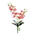 thumbnail image 2 of Visland Artificial Silk Phalaenopsis Flowers Artificial Orchid Flowers Stem Plants Fake Butterfly Phalaenopsis Flowers for Home Wedding Party Décor, 2 of 7