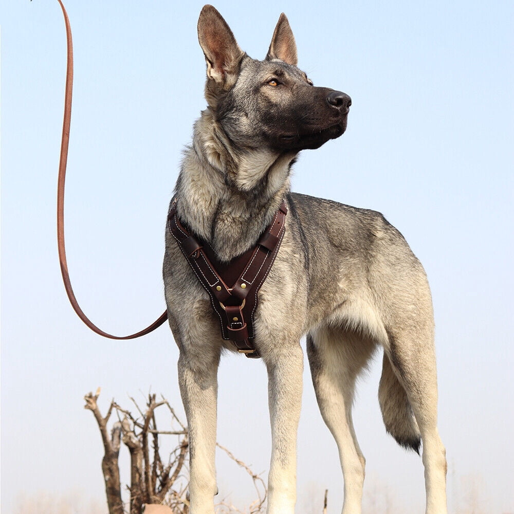 Pet Artist Heavy Duty Genuine Leather Dog Harness Adjustable for Large Dogs Pitbull Rottweiler High Quality