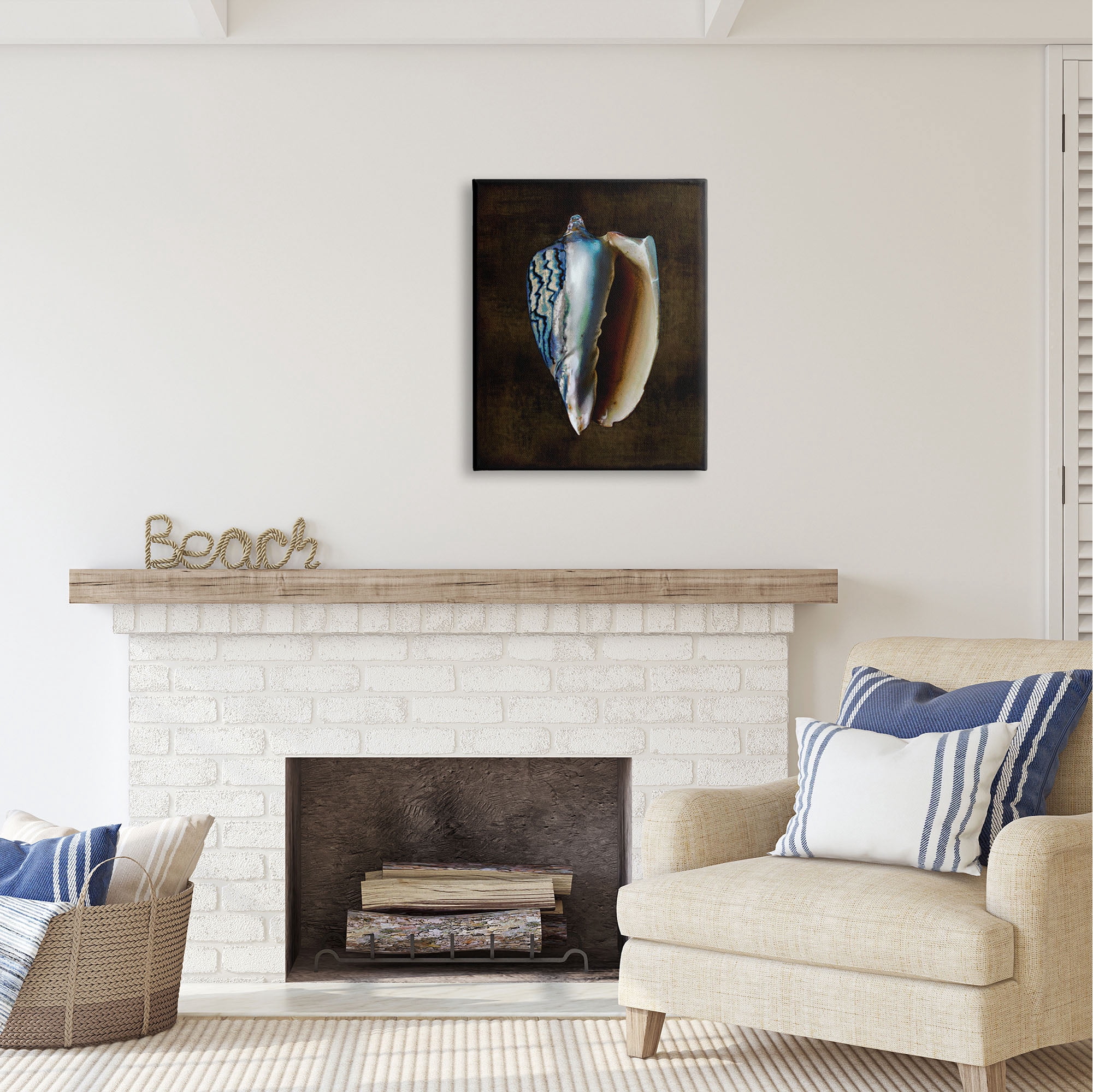 Stupell Industries Conch Shell on Black Nature Painting Gallery Wrapped Canvas Print Wall Art, 24 x 30