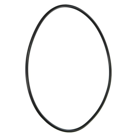 Pentair LA415 Seal Bracket O-Ring Replacement Universal Booster Pool and Spa Pump