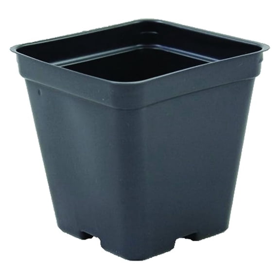 Square Greenhouse Pots 3.5 inch x 3.5 inch- Black - Plastic - Deep - 200 Pack
