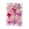 thumbnail image 3 of Flores prensadas secas Macarena Adorno de jabón para manualidades florales Estilo F, 3 of 8