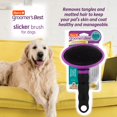 thumbnail image 3 of Best Deshedding Slicker Brush for Dogs - Black/Violet Color - Groomer's Choice, 3 of 4