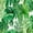 Color 2, variant on Peel and Stick Wallpaper Tropical leaves Monstera strelitzia palms Watercolor seamless 17.7in x 118in Contact Paper Removable Self Adhesive Wall Mural Wall Decor for Bedroom Kitchen Cabinets