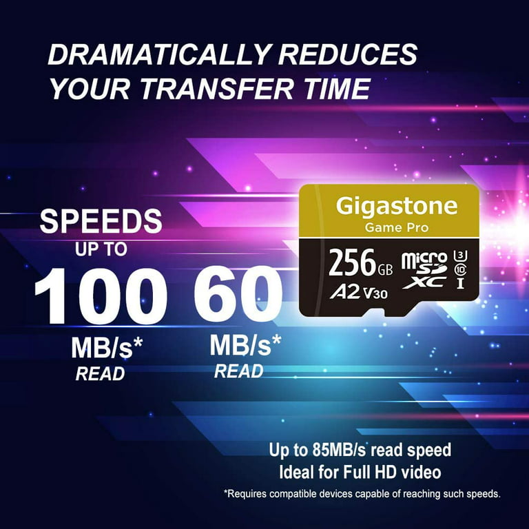 Gigastone 256GB Micro SD Card, Switch / GoPro Compatible Memory Card, UHS-I  SDXC