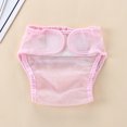 thumbnail image 5 of SPRING PARK Summer Baby Washable Girl Mesh Cotton Panties For Newborn, 5 of 8