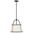 thumbnail image 6 of 4894BK Hinkley Lighting Clarke - 12W 1 LED Large Pendant-16.25 Inches Tall and 16.25 Inches Wide-Black Finish, 6 of 10