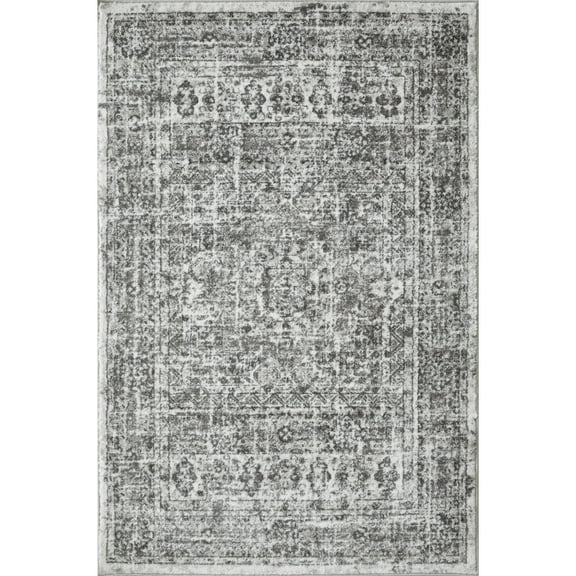 Loomaknoti Rhane Aberd 4' x 6' Gray Oriental Indoor Polypropylene Area Rug