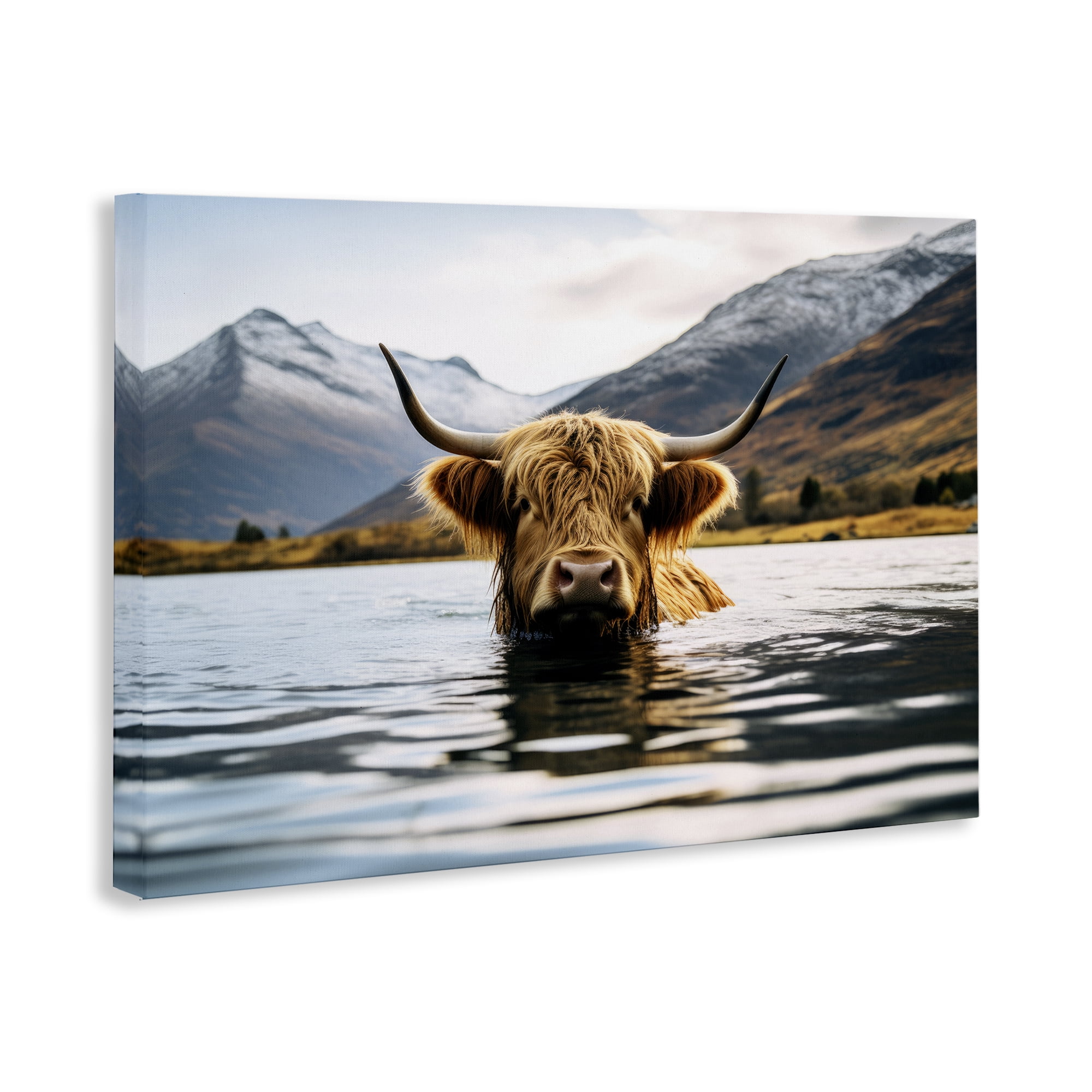 Stupell Industries Cattle Peeking from Water Animals Photography Wrapped Canvas Art Print Wall Art, 24 x 16