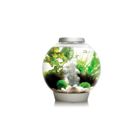 biOrb Classic 30 LED White Aquarium (Best Cold Water Fish For Biorb 30)