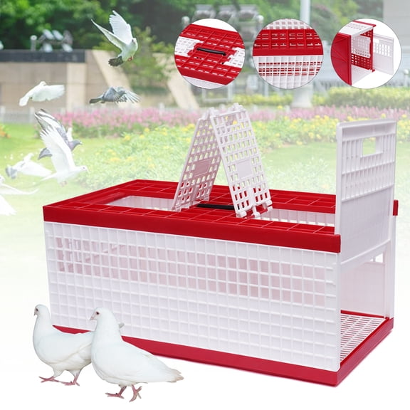 YIYIBYUS 23.62*12.2*10.24 in Transportation Pigeon Cage Foldable Pigeon Cage with Handle with 2 Side Doors   2 Top Department 14 Pigeons Capacity White red