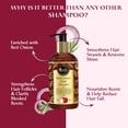 thumbnail image 5 of Oriental Botanics Red Onion Hair Shampoo, 300ml - With Red Onion Oil, 27 Botanical Actives, Biotin, Argan Oil, Caffeine, Protein, Controls Hair Loss & Supports Healthy Hair Growth, 5 of 7