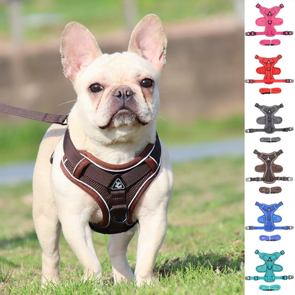 SPRING PARK Cat Harnesses and Puppy Harness with Leashes Set, Anti-pull Cat Harness, Adjustable Reflective Soft Mesh Vest Fit Puppy Kitten Rabbit Ferrets's Outdoor Harness