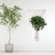 thumbnail image 3 of Tapiz tejido con cuerda de algodón hecho a mano para colgar en la pared, estilo bohemio, decoraciones para el hogar, decoración de pared, palo de madera con cuerda de algodón, decoración colgante, 3 of 8