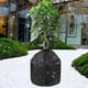 thumbnail image 2 of Funda Aislante para Plantas 2 Unidades Bolsas Protectoras Contra Heladas Protección Invierno, 2 of 9