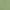 Terrace Green, variant on Wonder Nation Girls Parachute Pant with Cargo Pockets, Sizes 4-18 & Plus