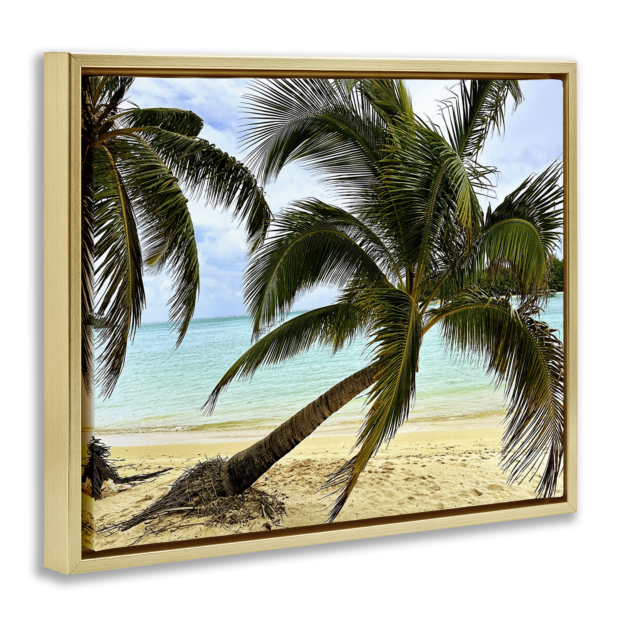 Stupell Industries Leaning Palms on Beach Landscape Photography Gold Floater Framed Canvas Art Print Wall Art, 21 x 17