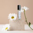 thumbnail image 3 of Set de regalo Avany Naturals Fragrance Oil para mujer, 3 perfumes, 3 of 5