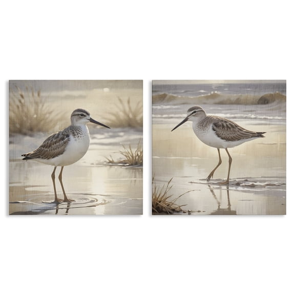 Stupell Industries Transitional Sunlit Sandpipers Wading Shore 2pc Canvas Art Set, 17 x 17 each, by Susan Arnot