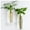 Cylinder, variant on GIXUSIL 2 Pack Glass Planters, Clear, Suitable for Most Water Plants, Perfect for DIY Propagation Station, Easy to Install, Elegant and Functional for Women, Mom, Plants Lovers(Cylindrical)
