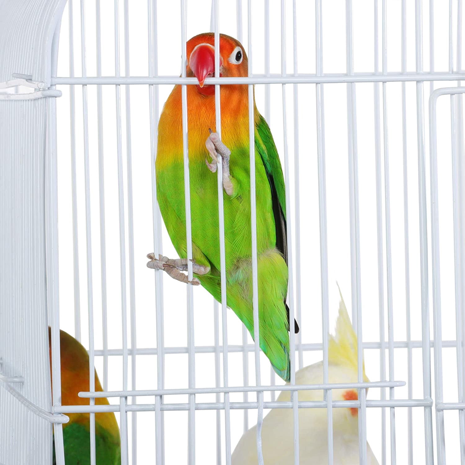 CHTER 41-Inch Portable Hanging Flight Bird Cage for Small Parrots Quaker Cockatiels Sun Parakeets Green Cheek Conures Finches Canary Budgies Lovebirds Travel Bird Cage