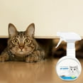 Dog AccessoriesPet Supplies carpet cleaning spray molar Cat And Outdoor