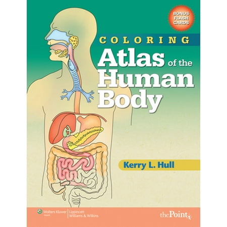 Coloring Atlas of the Human Body [With Flash Cards], Used [Paperback]