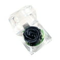 thumbnail image 1 of Amdohai Preserved Real Rose Flower in Clear Box Eternal Rose Scented, 1 of 7