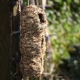 thumbnail image 3 of de Pájaros Colgantes Tejidos Paja Casa de Incubación Cría Césped Cueva B Decoración De Jardinería kusrkot Nido de pájaro de paja tejido a mano, 3 of 8