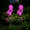 Flamingo 2-Pack, variant on Lumiartisan Solar Flamingo Garden Stake Lights Outdoor Waterproof 29.13in