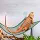 thumbnail image 2 of Paquete de 2 Accesorios para Cama Colgante Escalera Inclinable Hamaca Dragón Barbudo Lagarto, Hábitat de Reptiles Decoración de Terrario Lagarto Gecko Dragón Barbudo (33 x 33 x 48 cm), 2 of 5