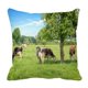 thumbnail image 1 of Funda de almohada ABPHQTO Norman blanco y negro Vacas Pastando en Campo Verde 50x50 cm, 1 of 1
